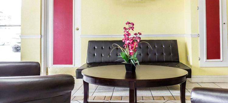 马修斯夏洛特伊克诺旅馆(Econo Lodge Inn & Suites Matthews - Charlotte)图片