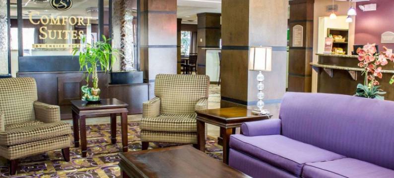 舒适套房酒店(Comfort Suites)图片