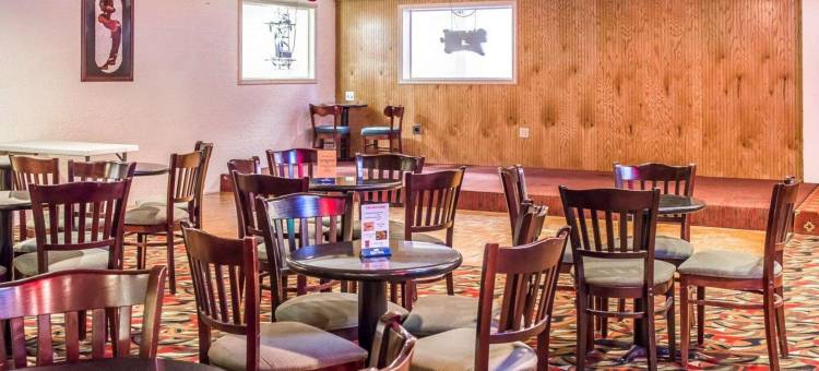 凯艺套房酒店(Quality Inn & Suites)图片