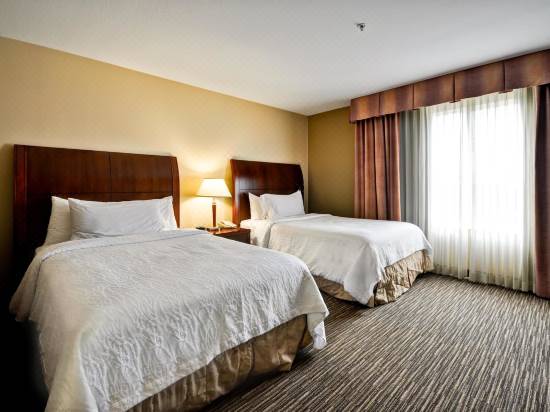 Hilton Garden Inn Tampa Northwest Oldsmar Hotel Reviews And Room