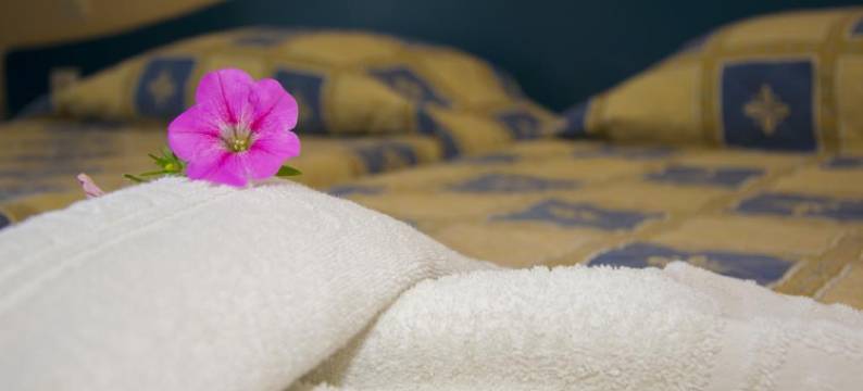 橄榄树酒店(Olivegrove)图片