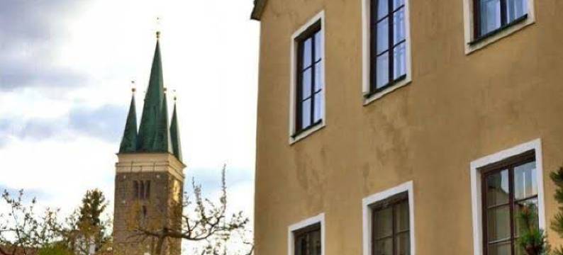 塞勒林酒店(Hotel Celerin)图片