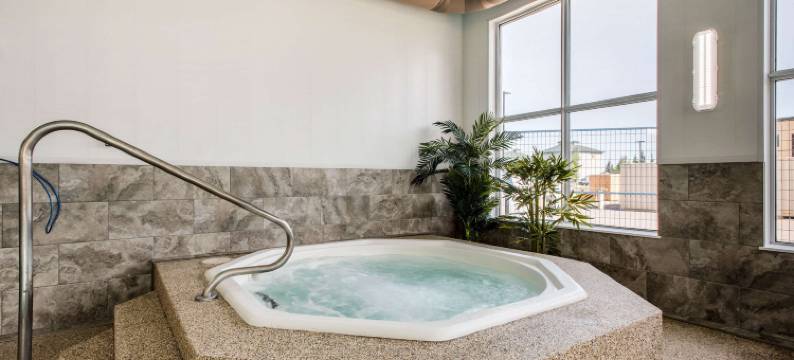 红鹿舒适套房酒店(Comfort Inn & Suites)图片