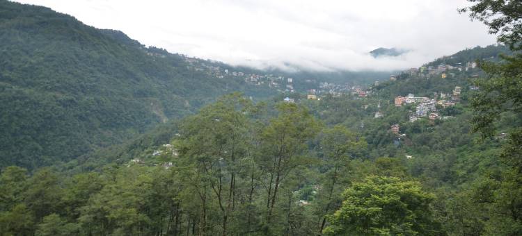 甘托克柠檬树酒店(Lemon Tree Hotel Gangtok)图片