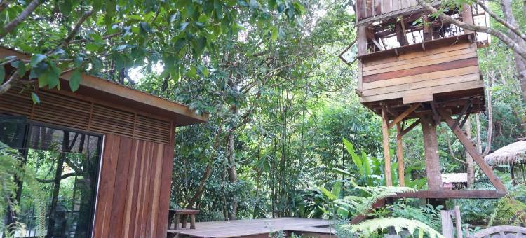 班奈蒙树屋(Bannaimong Treehouse)图片