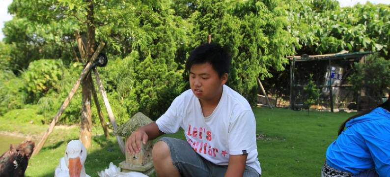 宜兰水鸟印象图片