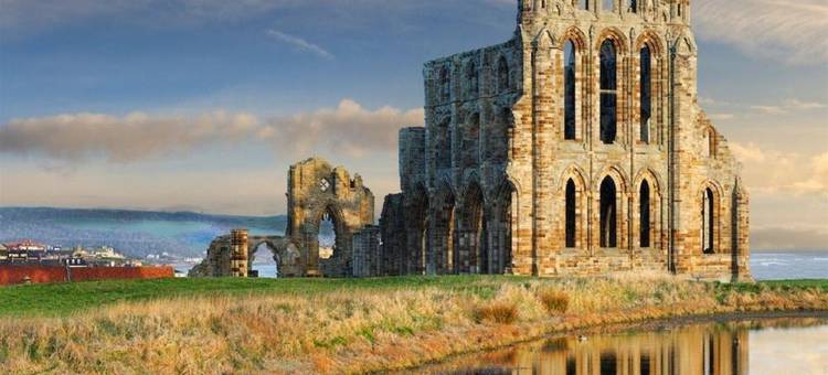 海豚酒店(The Dolphin Hotel)图片