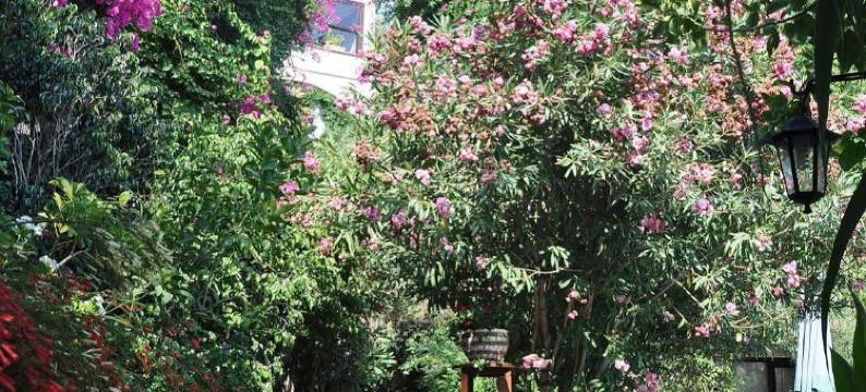 艾维诺酒店(El Vino Hotel & Suites)图片