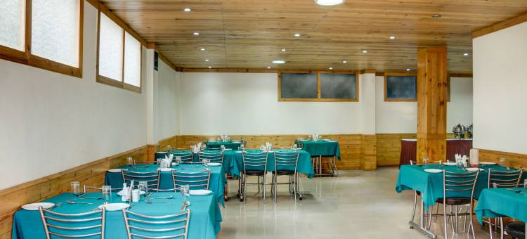 伍德斯托克酒店(Woodstock Inn Manali)图片