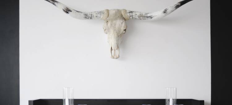 蒙特雷哈比塔酒店 - 设计酒店会员(Habita Monterrey, a Member of Design Hotels)图片