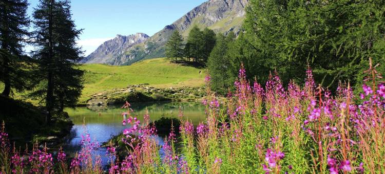 安克雷奇中城皇冠假日酒店(Crowne Plaza Anchorage-Midtown)图片