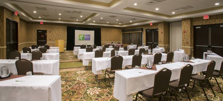 奥兰多度假村 - 莱克布埃纳维斯塔假日酒店(Holiday Inn Resort Orlando - Lake Buena Vista)图片