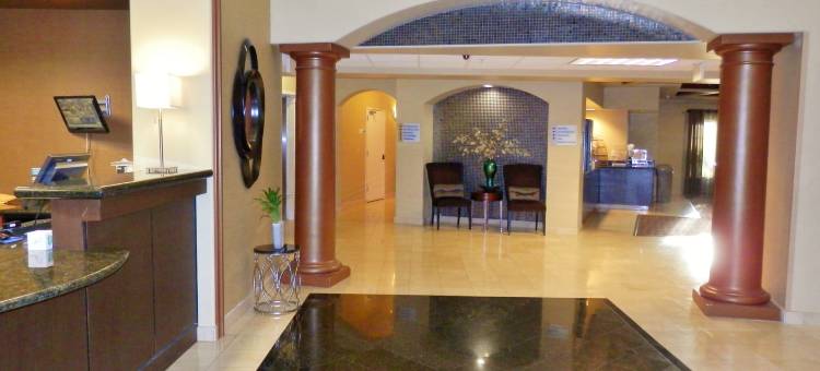 智选假日套房酒店圣巴勃罗 - 里士满地区(Holiday Inn Express & Suites San Pablo - Richmond Area)图片