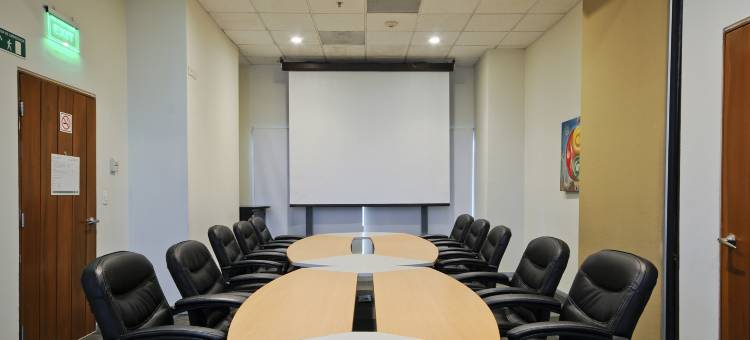 伊拉普阿托假日酒店(Holiday Inn Irapuato)图片