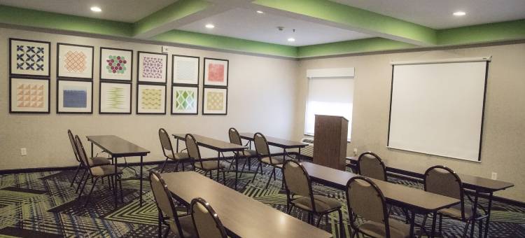 智选假日套房酒店亚历山德里亚(Holiday Inn Express & Suites Alexandria)图片