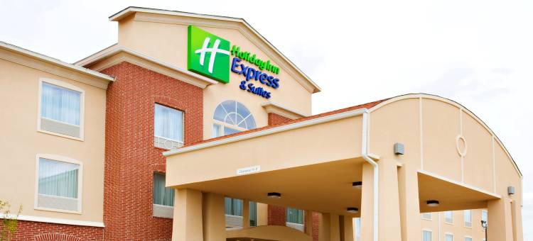 智选假日套房酒店新乐北(Holiday Inn Express & Suites Shamrock North)图片