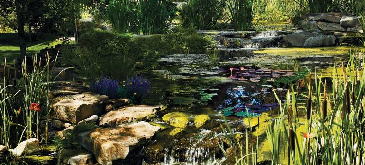 艾尔蒙特萨格拉多遗产度假酒店(El Monte Sagrado Resort & Spa)图片