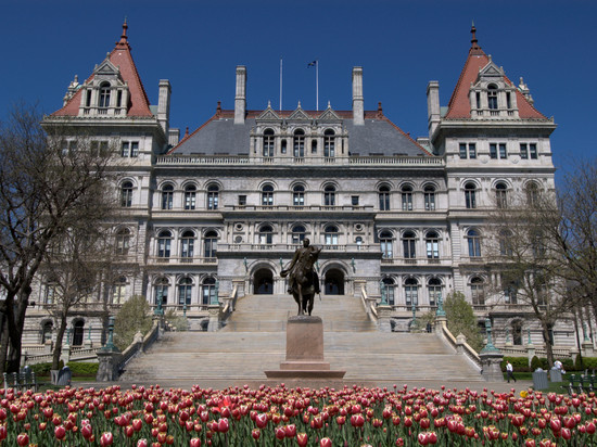 奥尔巴尼东格林布什/科技谷 Residence Inn 酒店