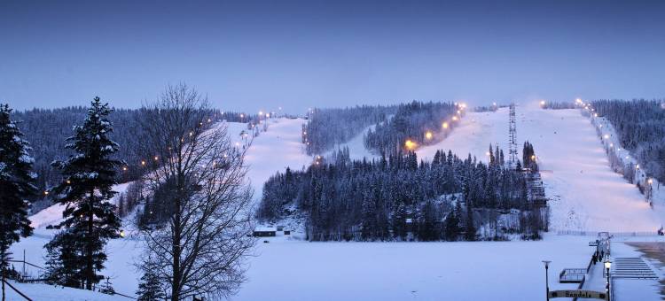 布里克索哥斯塔赫哥酒店(Break Sokos Hotel Tahko)图片