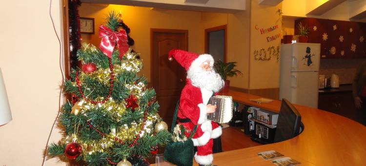 里纳尔迪瓦西列夫斯基酒店(Rinaldi na Vasilievskom Hotel)图片