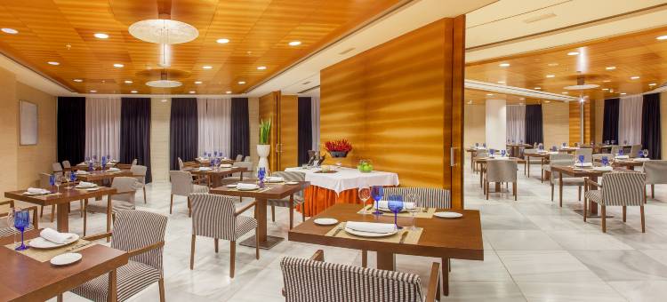 索罗拉宫酒店塞尔科特酒店(Sercotel Sorolla Palace)图片