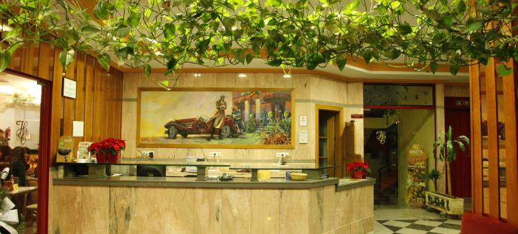 马里卡门酒店(Hotel Mari Carmen)图片