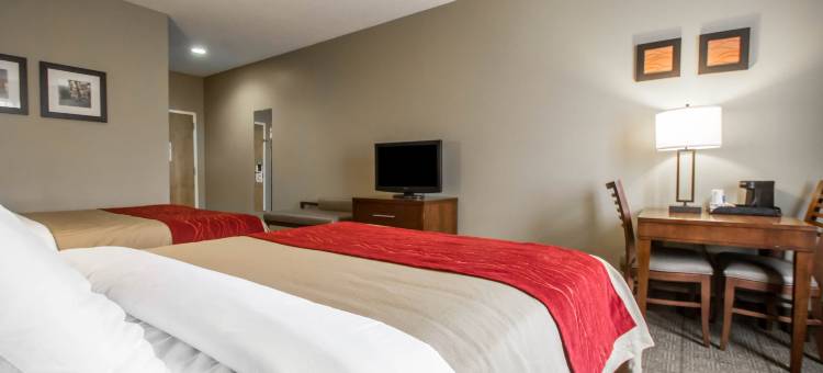 舒适酒店(Comfort Inn Amite)图片