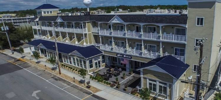 大道 Spa 酒店(Avenue Inn & Spa)图片