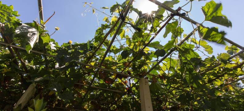 花莲耕梦园民宿图片