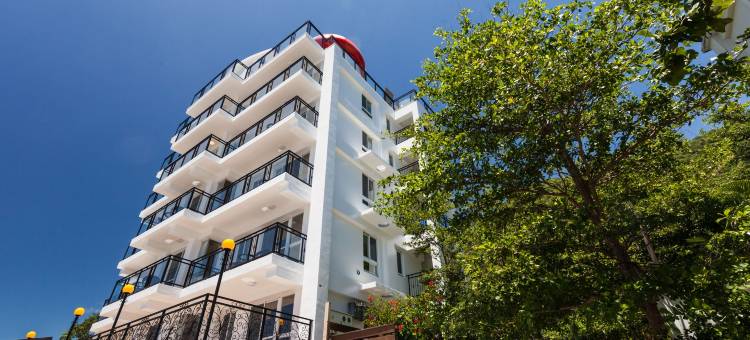 海蜻蜓海景民宿图片