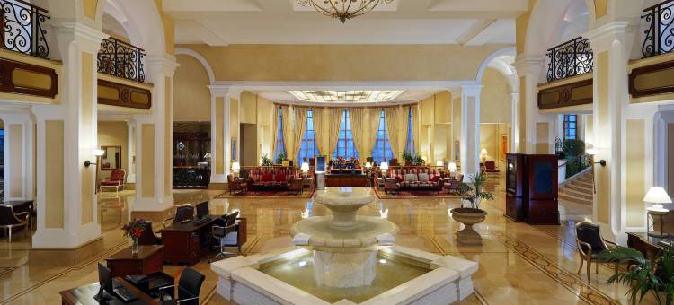 喜来登亚迪斯豪华精选酒店 - 亚的斯亚贝巴(Sheraton Addis, a Luxury Collection Hotel, Addis Ababa)图片