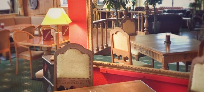 阿尔皮娜阿泊文森特山林小屋(Alpina Lodge Hotel Oberwiesenthal)图片