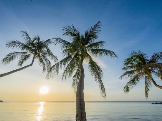 蘇梅島查汶海灘樂園温泉度假酒店