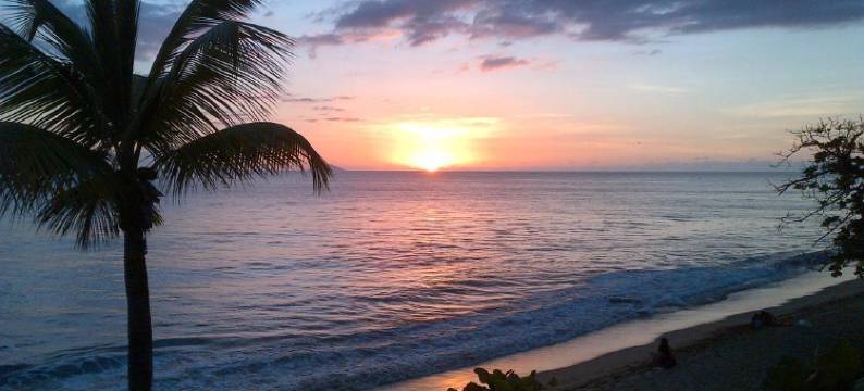 椰子棕榈树旅馆(Coconut Palms Inn)图片