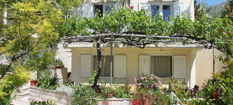 ​​亚德里亚别墅酒店(Villa Adria)图片