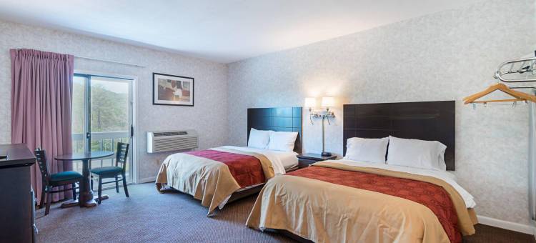 李尔-大巴灵顿伊克诺旅馆(Econo Lodge Lee - Great Barrington)图片