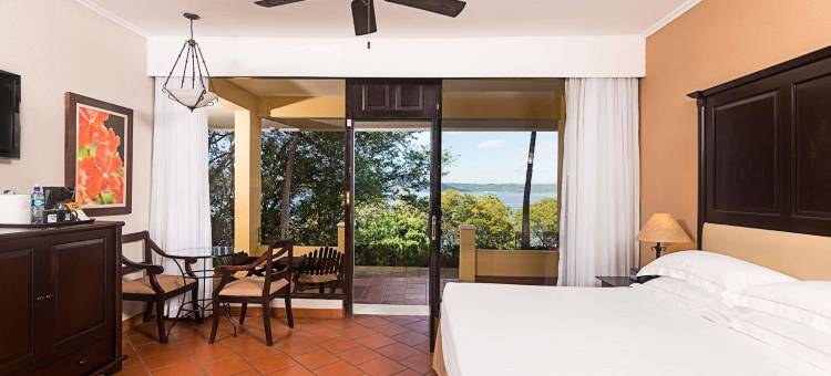 西帕帕加约酒店-限成人-全包(Occidental Papagayo - Adults Only All Inclusive)图片