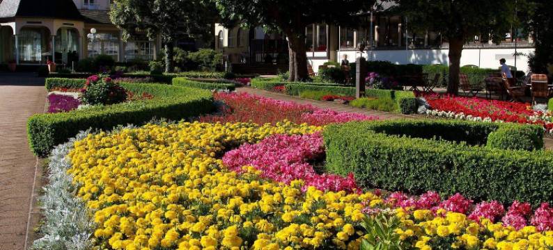 富尔斯滕霍夫巴德贝特里希酒店(Hotel Fürstenhof Bad Bertrich)图片