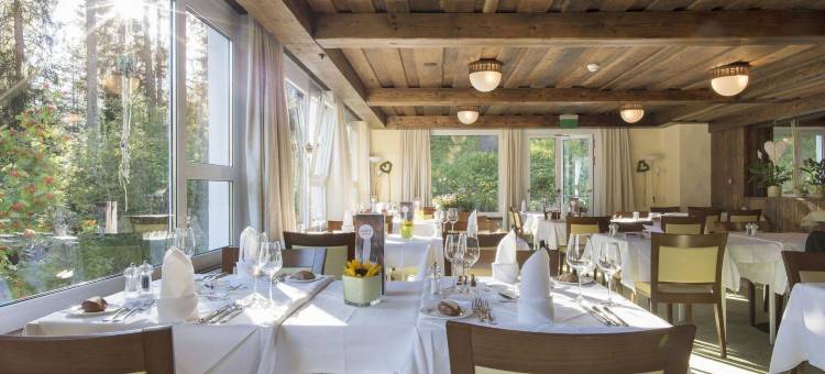 阿罗撒太阳之星酒店(Sunstar Hotel Arosa)图片