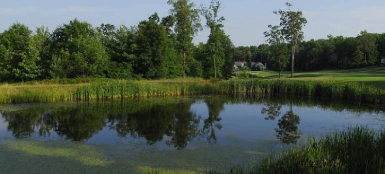 伍德罗克松树度假酒店(Woodloch Pines Resort)图片