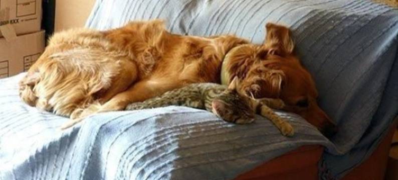 艾斯杜艾尔旅馆(Domaine de l'Estuaire)图片