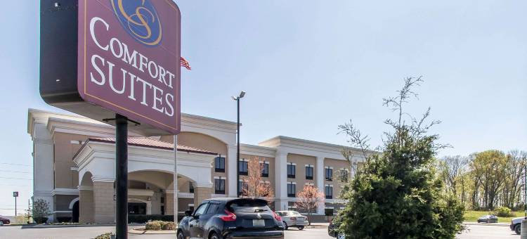 舒适套房酒店(Comfort Suites Smyrna)图片