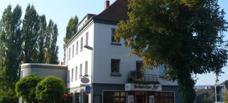 Bückeburger庭院(Hotel Bückeburger Hof)图片