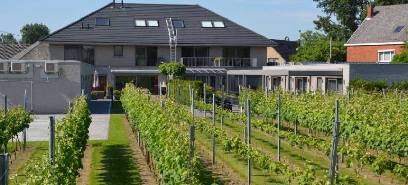 阿巴罗纳酒店和公寓(Abalona Hotel & Apartments)图片