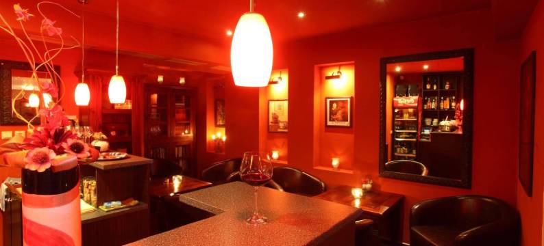 莎拉塔利帕 - 疗养酒店(Wellness Hotel Zlatá Lípa)图片