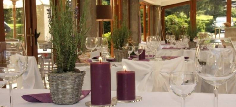 优胡鲁布花园酒店(Hotel & Garden U Holubů)图片