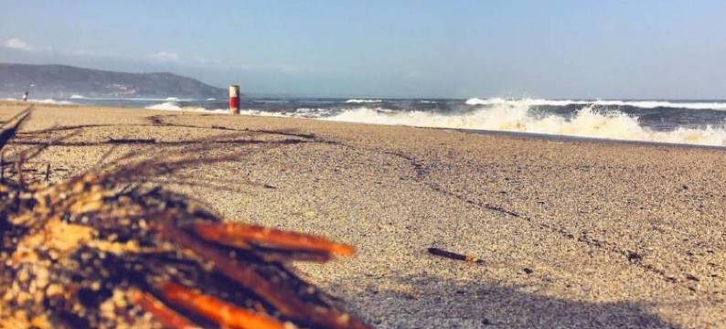 格里乌丽维酒店(Hotel Gli Ulivi)图片