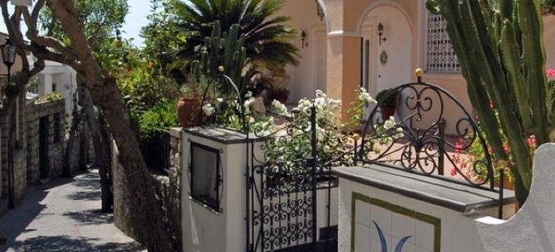 辛纳佛罗拉酒店(Sina Flora)图片