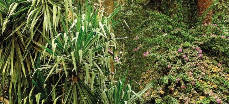 埃斯·萨迪马拉喀什度假-酒店(Es Saadi Marrakech Resort - Hotel)图片