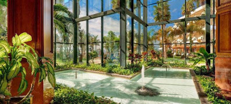 纳杜拉皇宫酒店 - 限成人入住(Hipotels Natura Palace Adults Only)图片